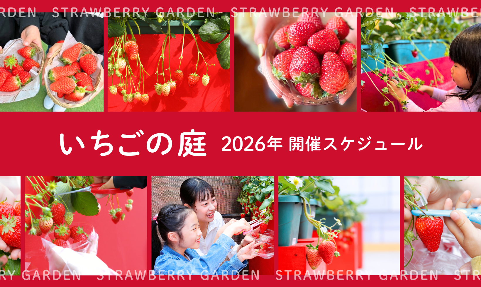 いちごの庭　2026年 開催スケジュール