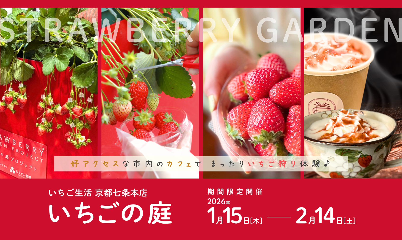 1/15(木)より開催！「いちごの庭」期間限定イベント／いちご生活 京都七条本店